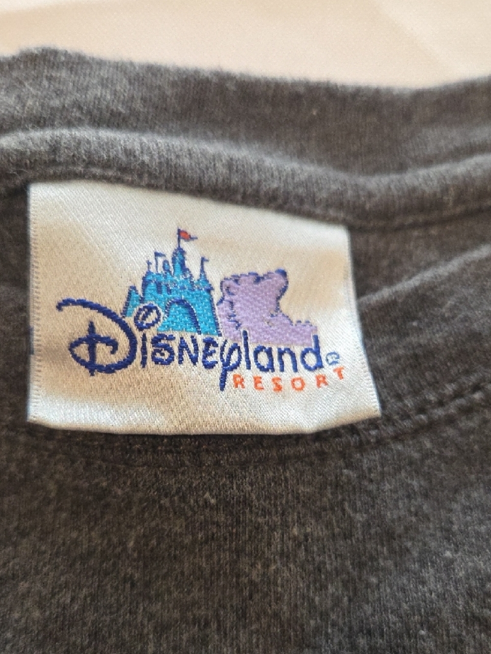 Disney Gray Disneyland 1955 Embroidered Sweatshirt - Picture 2 of 6